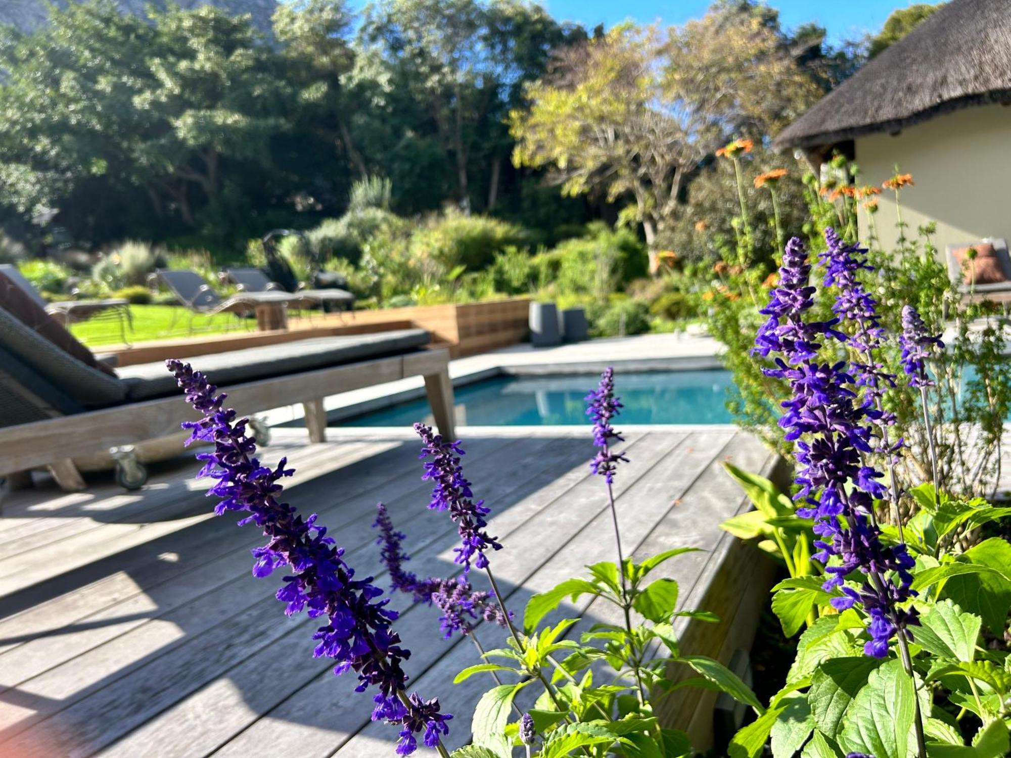 The Thatch House Boutique Hotel, הרמנוס מראה חיצוני תמונה